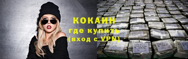 тгк Алзамай