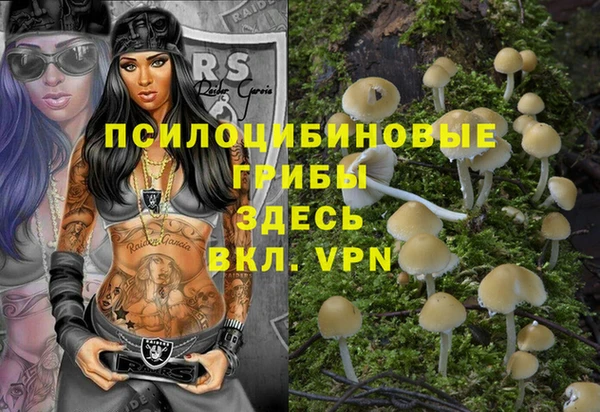 СК Алексеевка