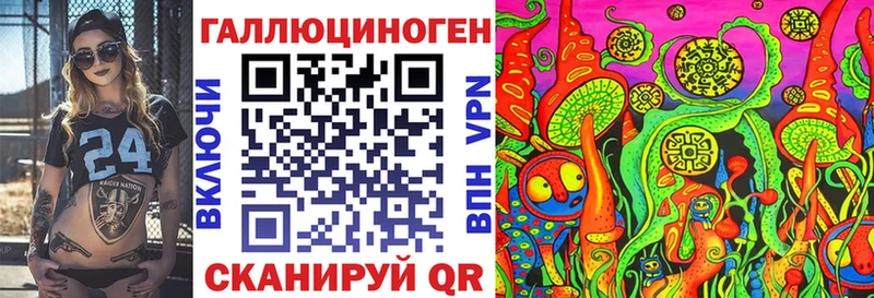 закладка omg ссылка Псилоцибиновые грибы мухоморы Курчалой